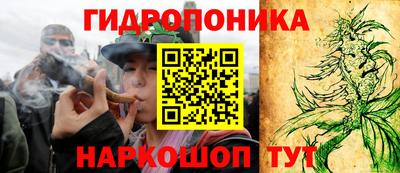 дживик Гусев