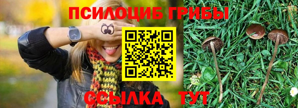Псилоцибиновые грибы ЛСД Мирный